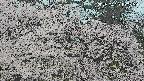 area3-20250420100519.jpg