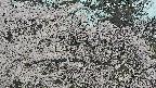 area3-20250420142519.jpg