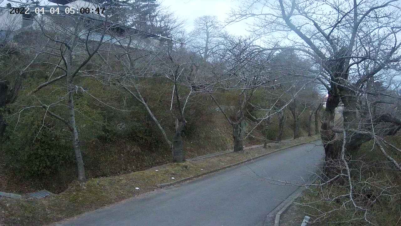 area4-20220404050048.jpg