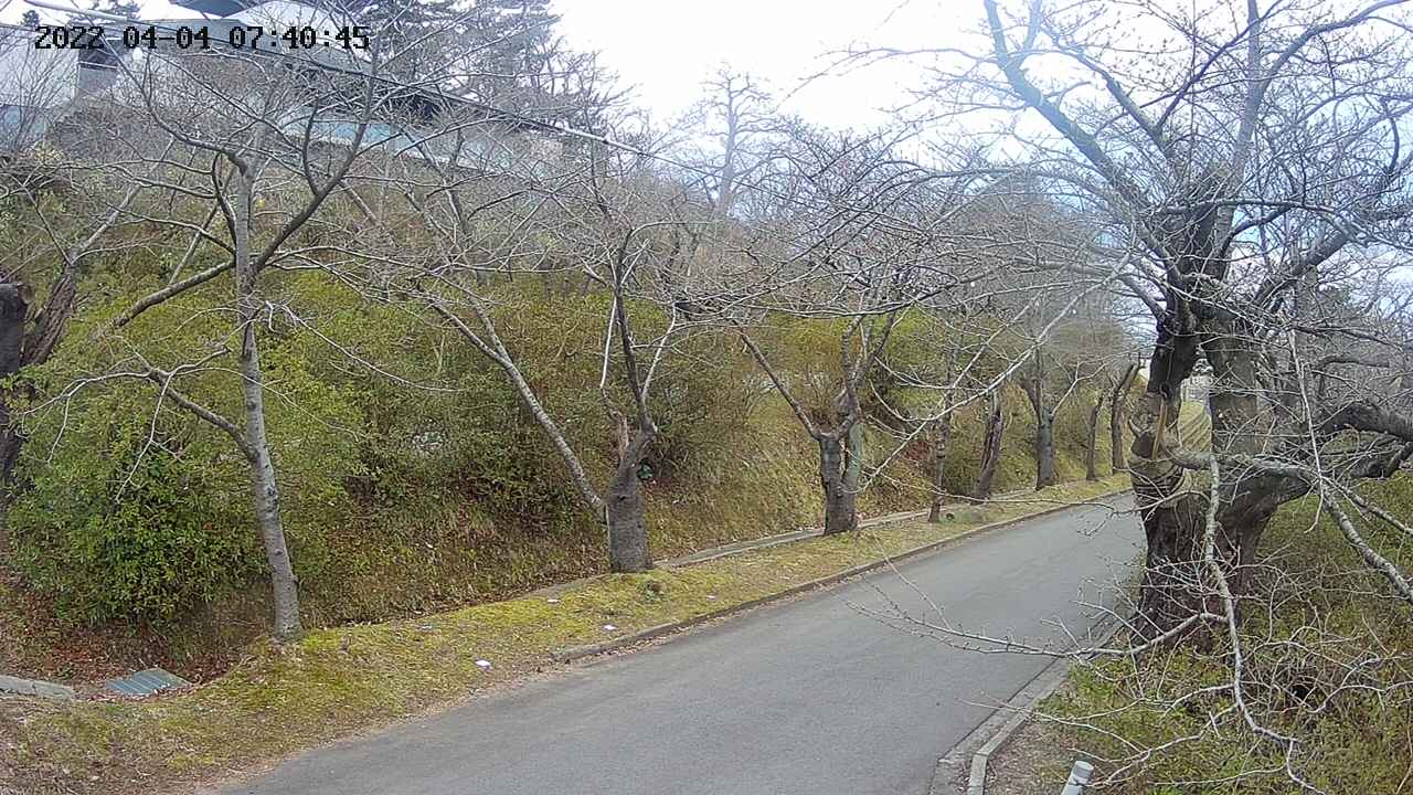 area4-20220404074046.jpg