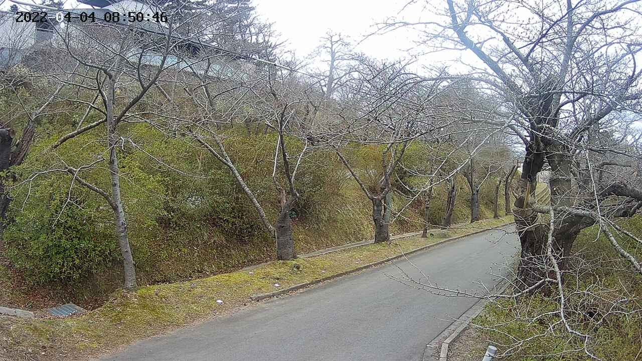 area4-20220404085047.jpg