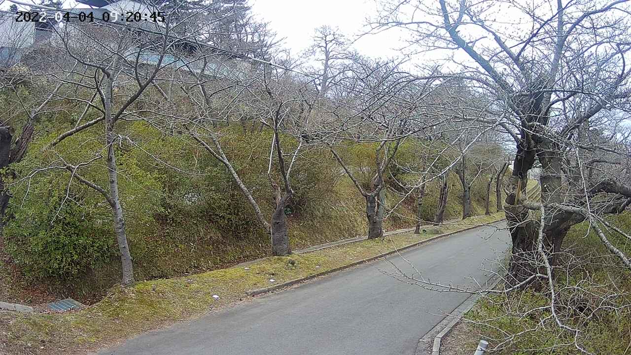 area4-20220404092046.jpg